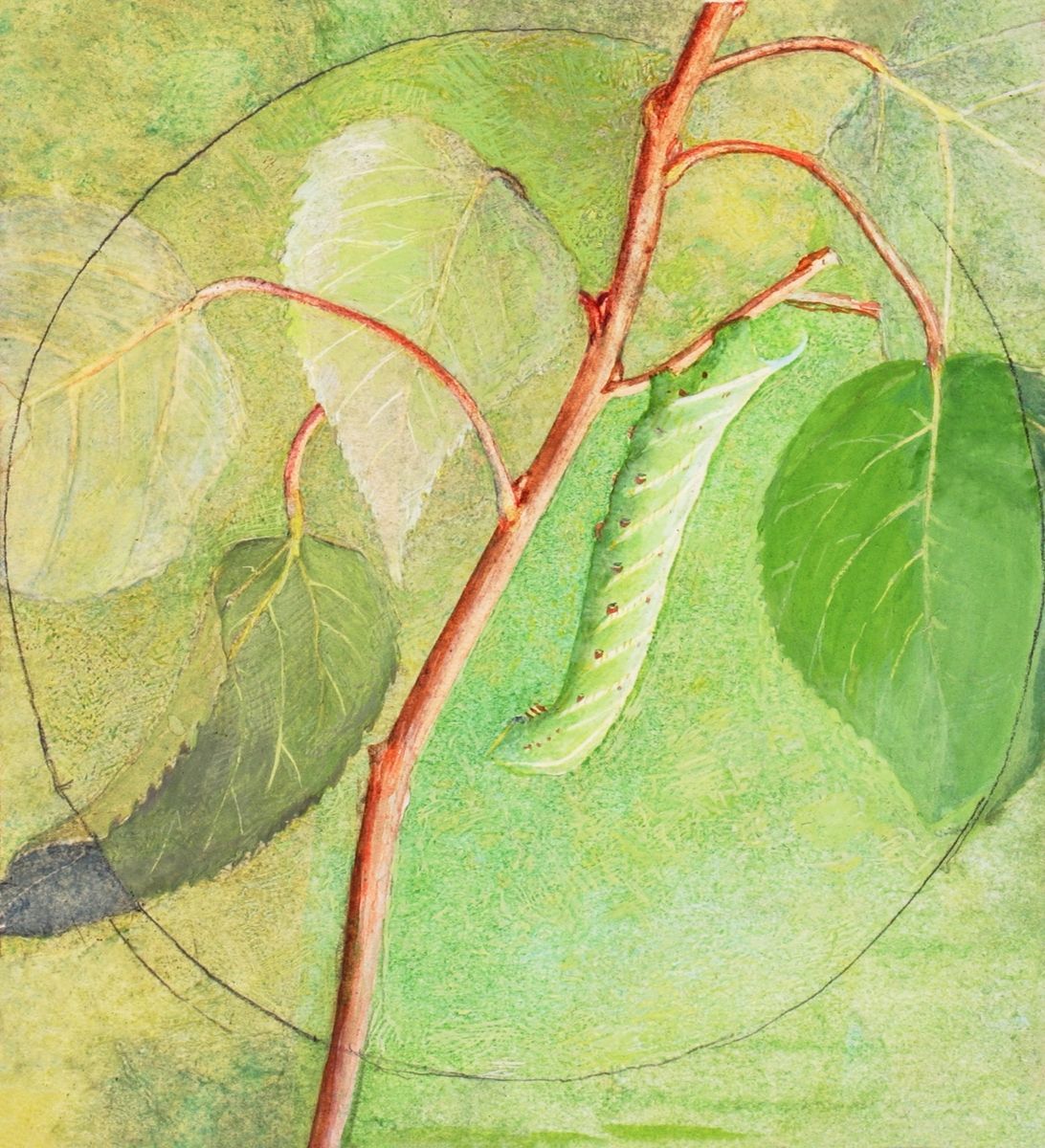 caterpillar hanging from a branch with leaves