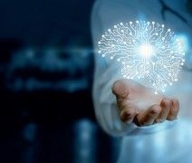 Traduction juridique et traduction automatique