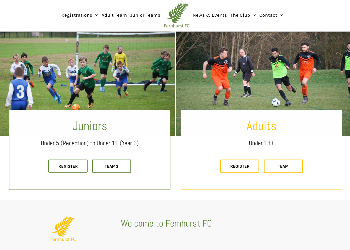 Fernhurst FC