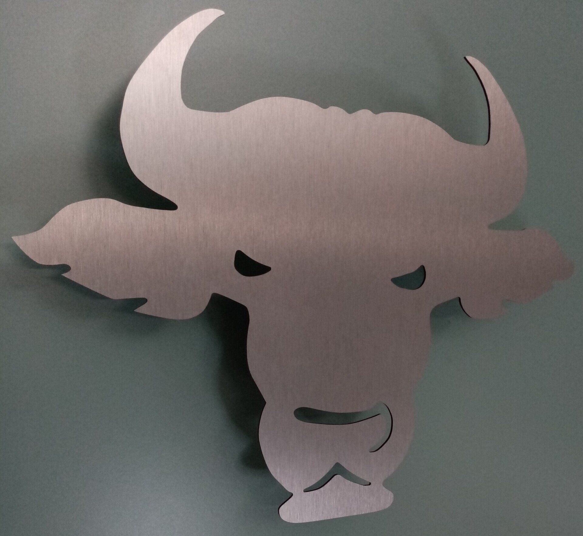 LICHTWAHN Stierkopf incl. einseitiger Farbscheibe