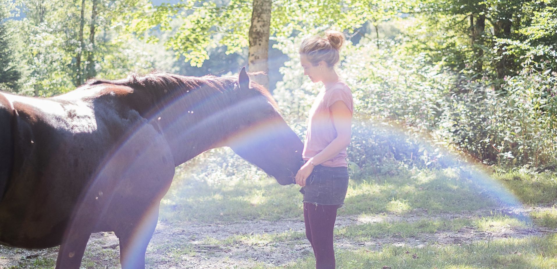 Verbindung Mensch und Pferd HGE