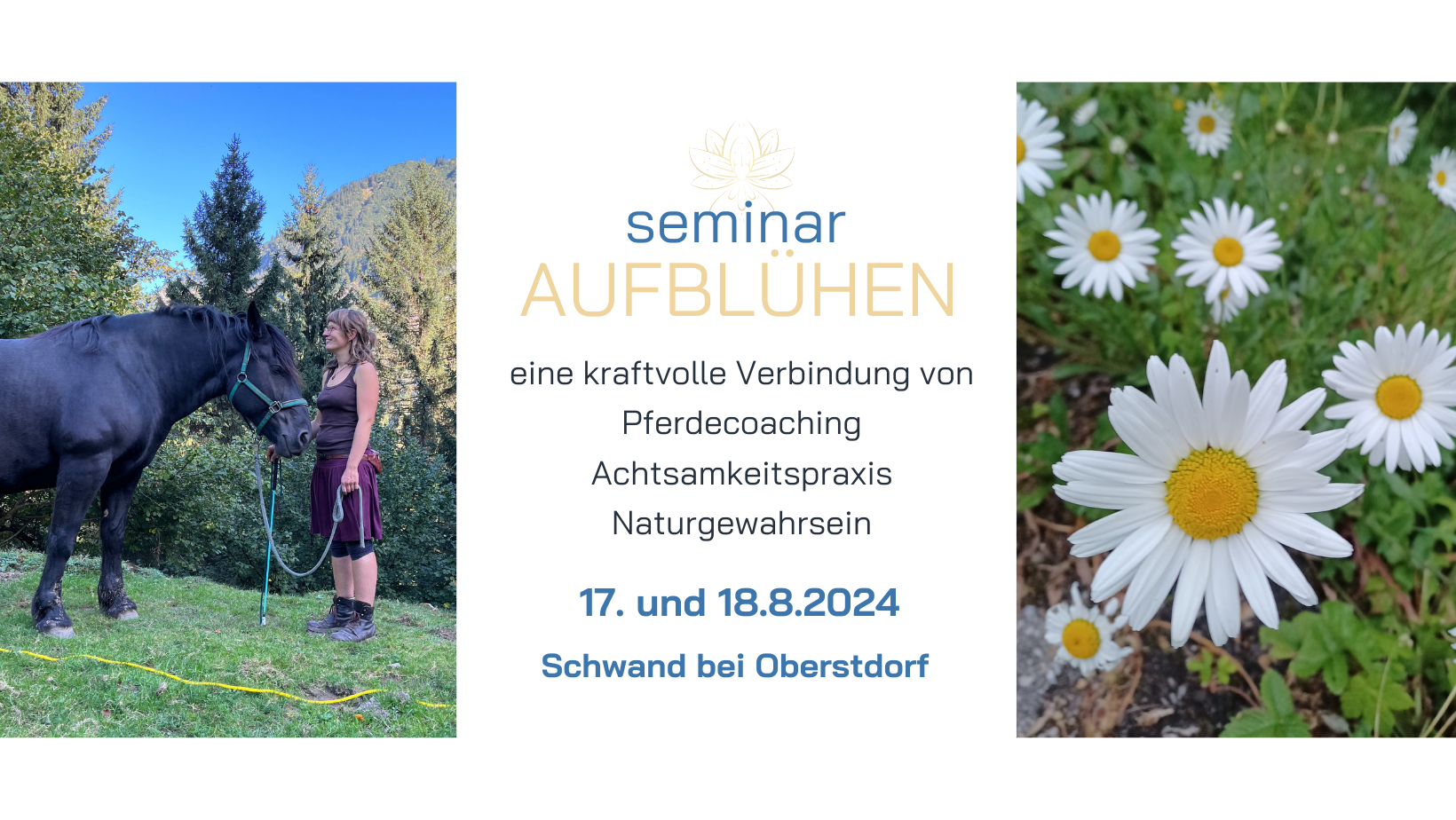 Verbindung Mensch und Pferd HGE