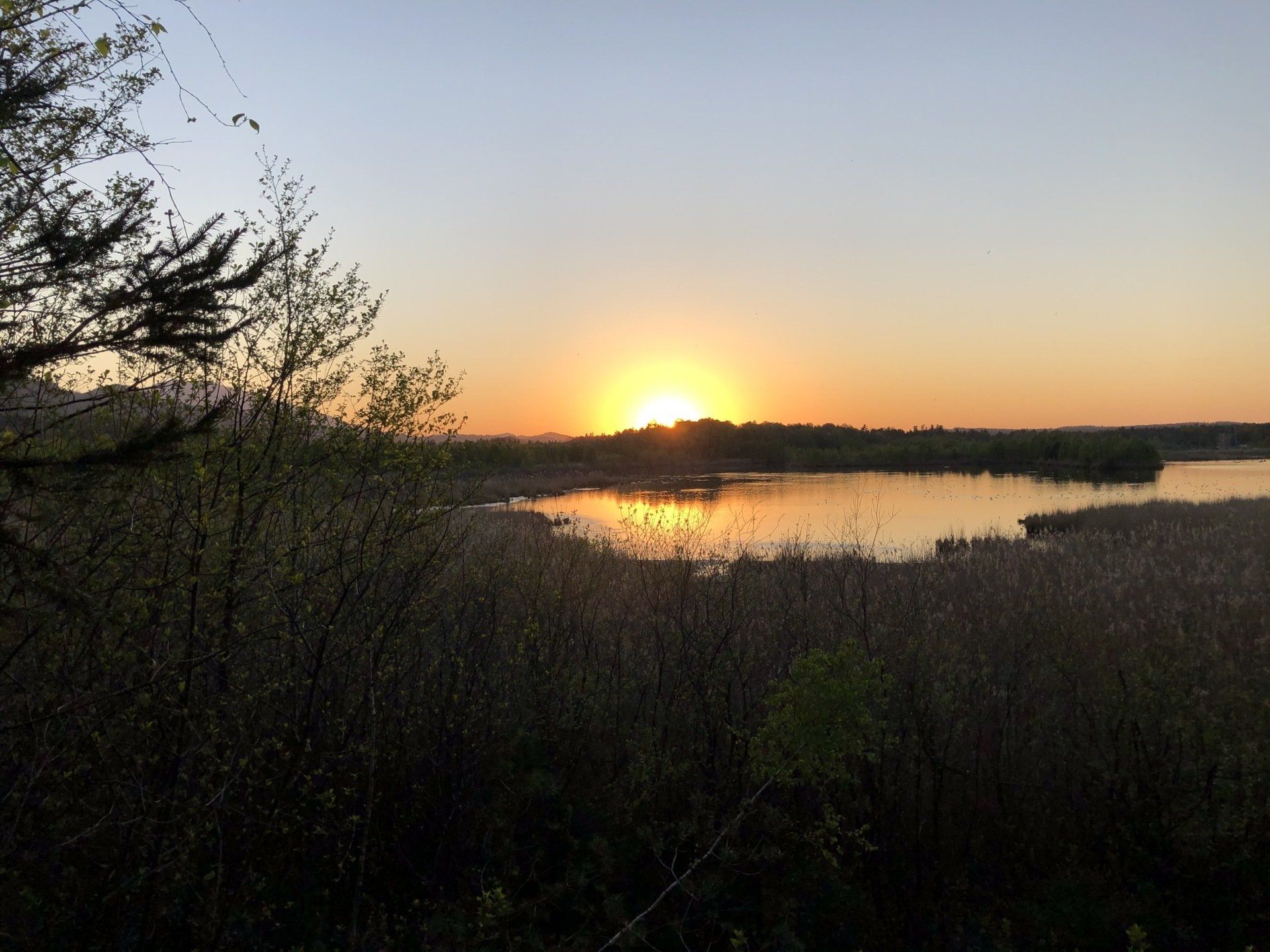 Sonnenuntergang im Ainringer Moos