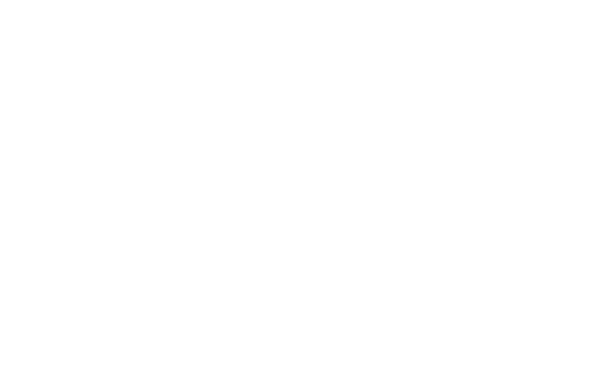 Logo Regionale Wirtschaftsförderung Bruchsal GmbH