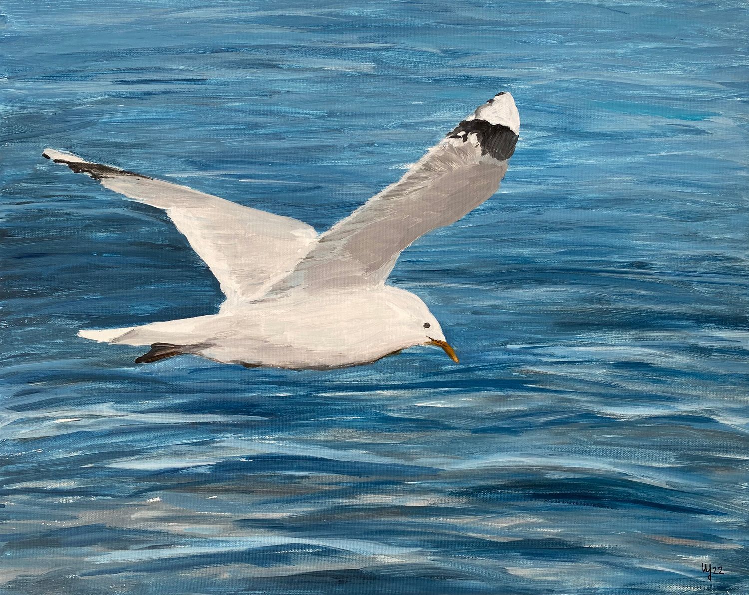 Möwe 50x40 cm