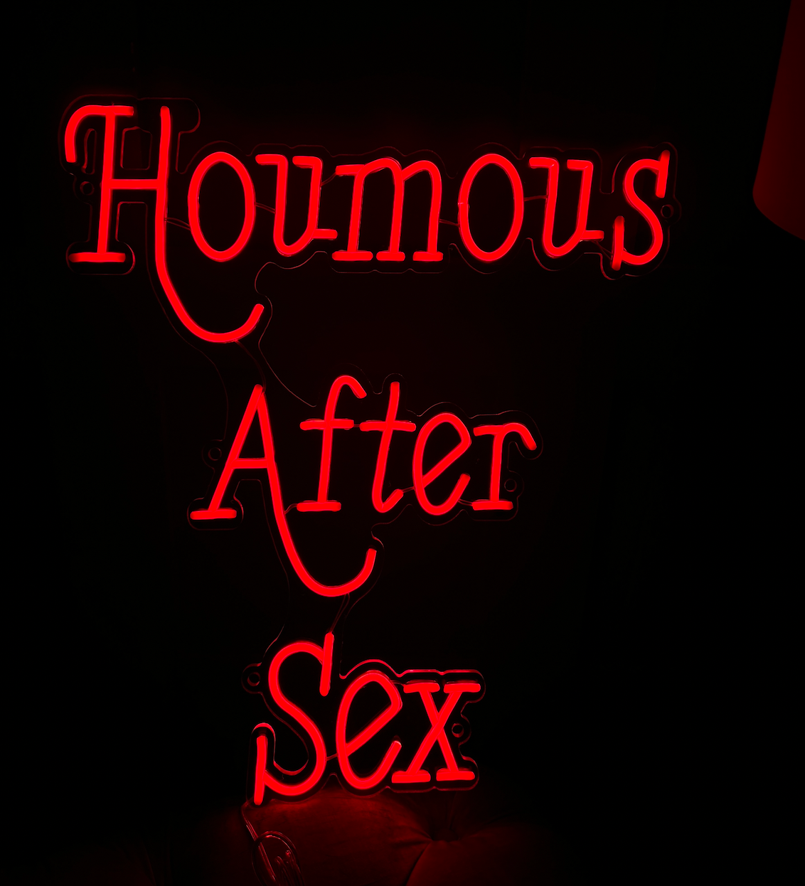 LED Neon Sign in red
