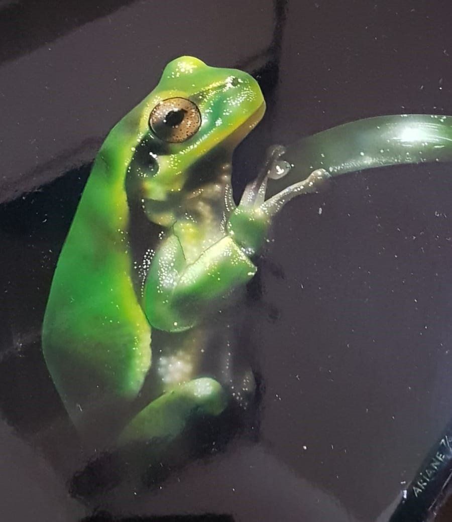 Airbrush Frosch