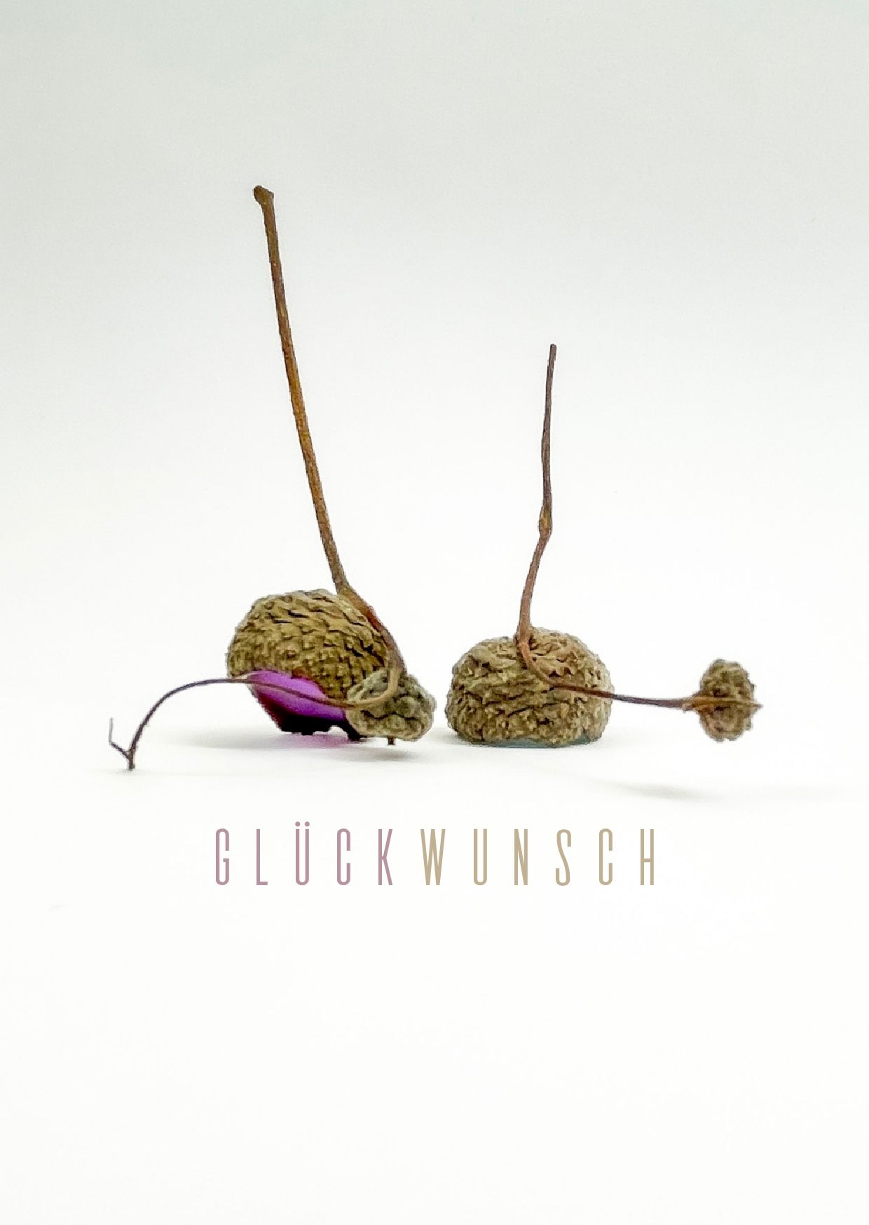 brigitte_borchers_eichelhuetchen_postkarten