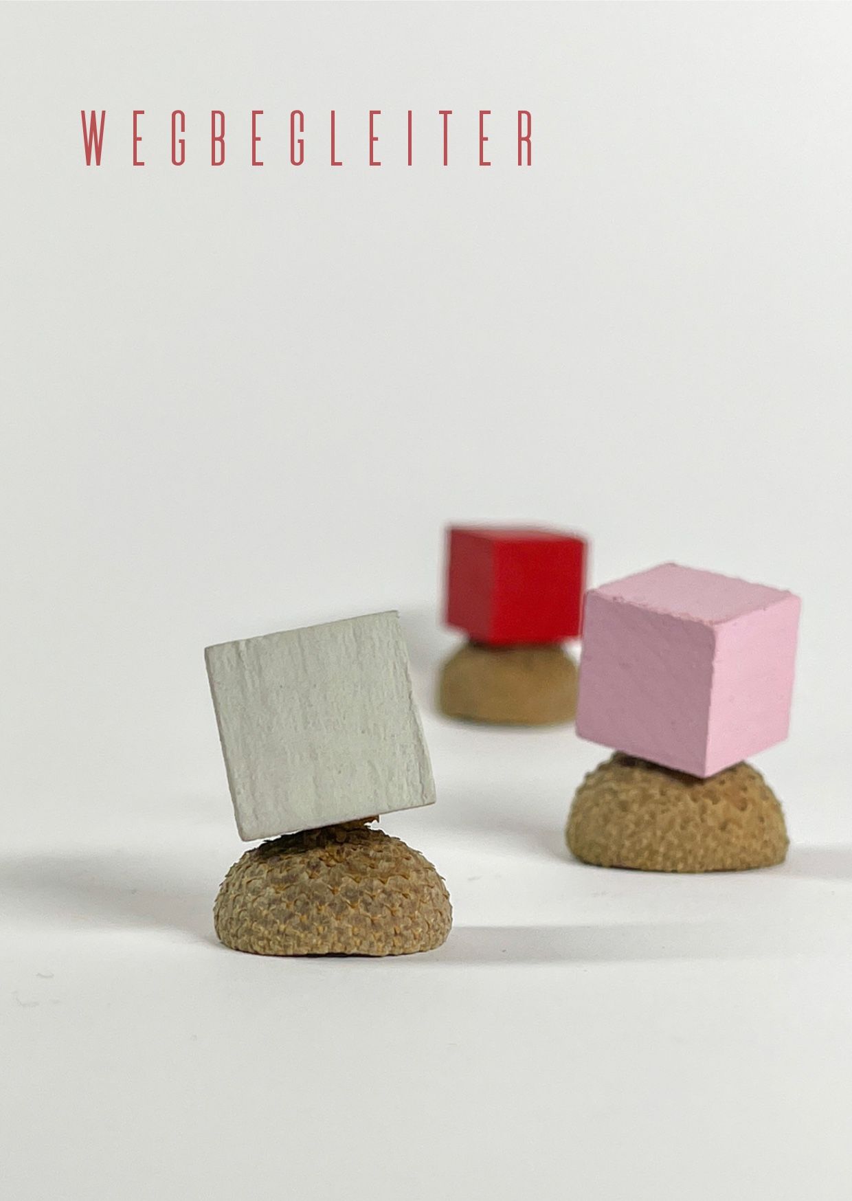 brigitte_borchers_eichelhuetchen_postkarten