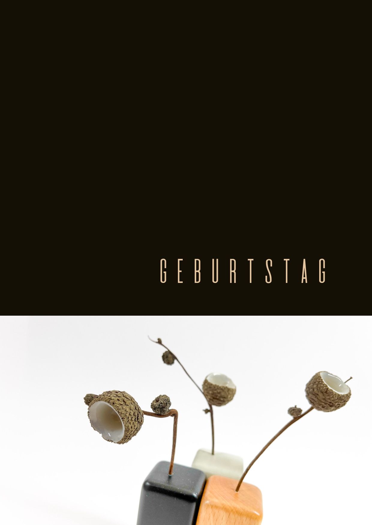 brigitte_borchers_eichelhuetchen_postkarten