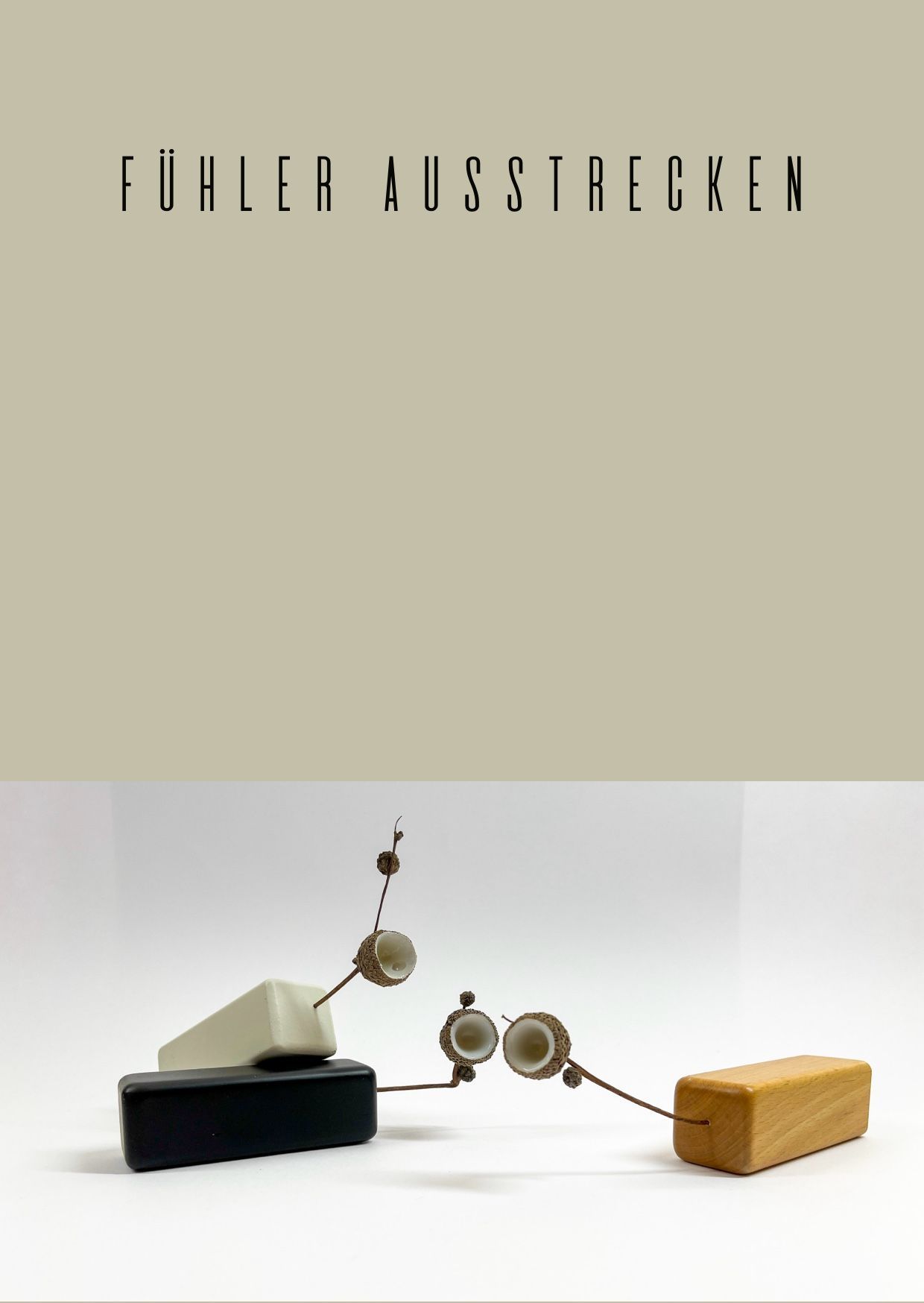 brigitte_borchers_eichelhuetchen_postkarten