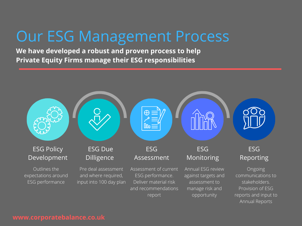 Our ESG Management Process ESG Management Process