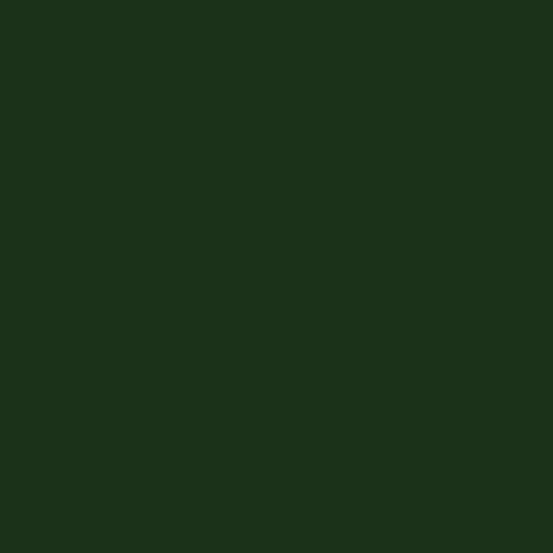 Juniper Green RAL 160 20 10 BS 12B29