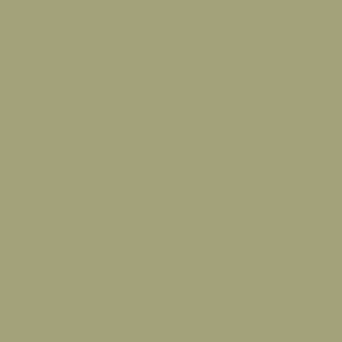 Moorland Green Khaki Green RAL 100 60 20 BS 12B21