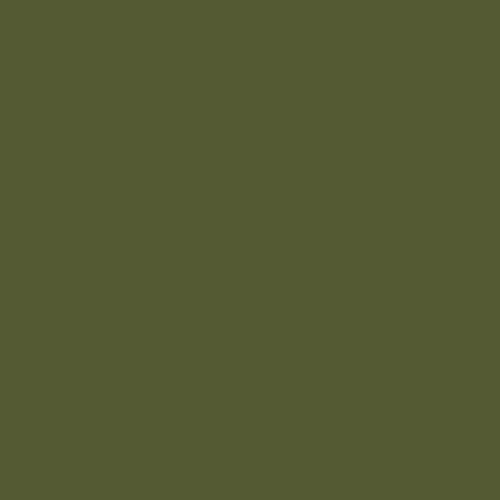 Olive Green RAL 100 30 20 BS 12B27