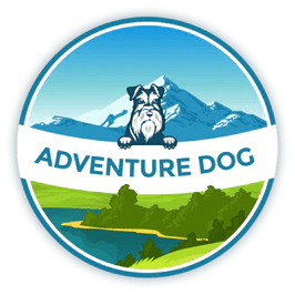 Adventure Dog