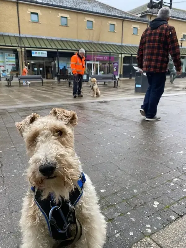 Developing skill set