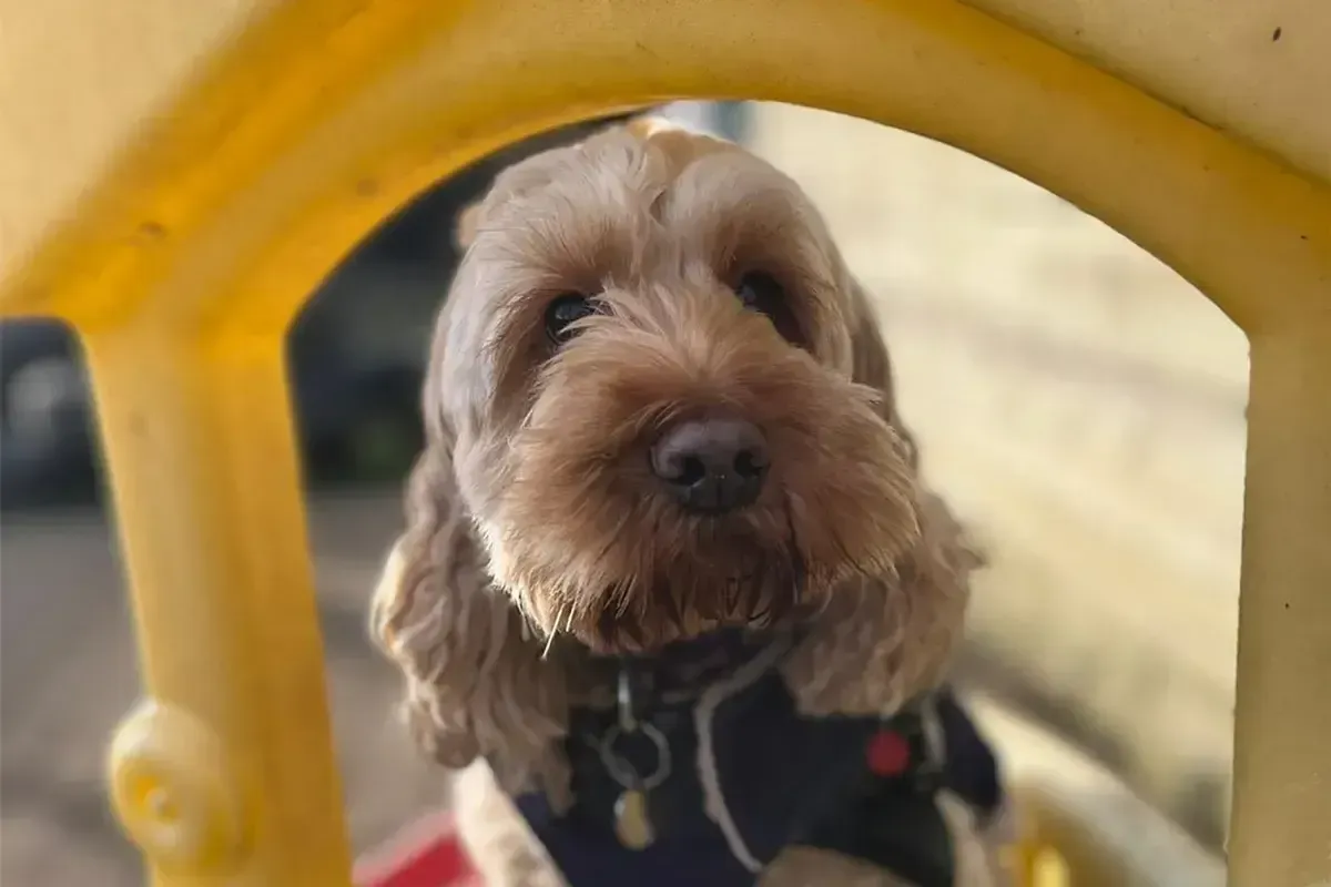 Love care and happiness