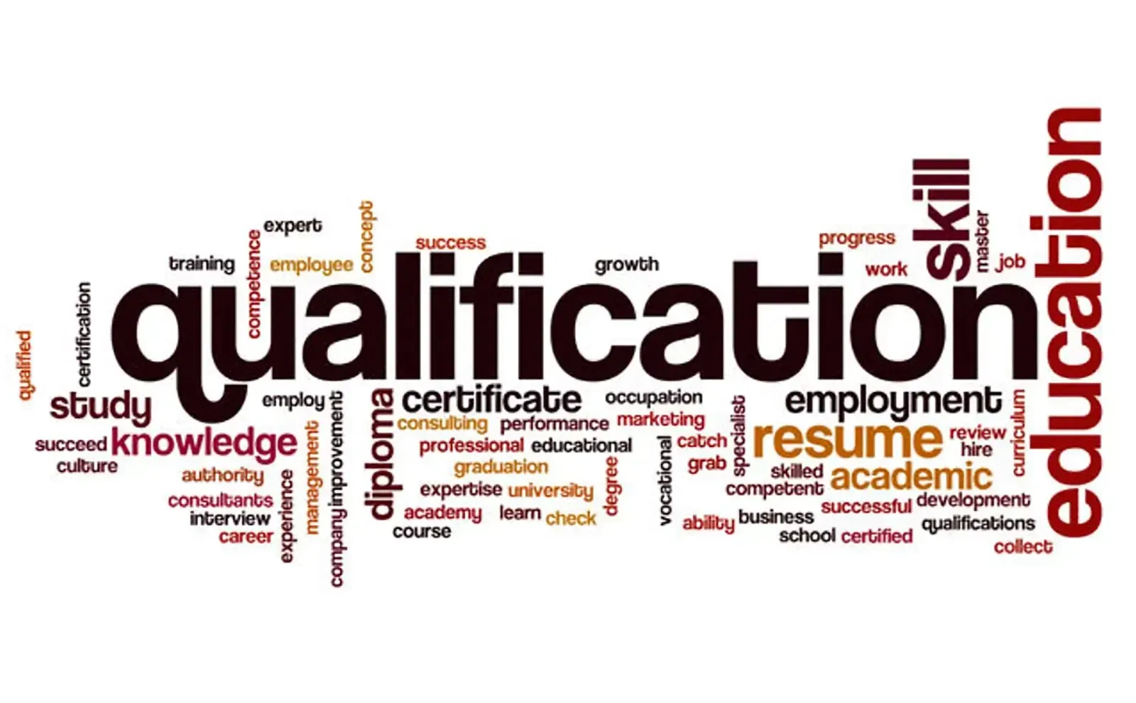 Qualification of a dog trainer