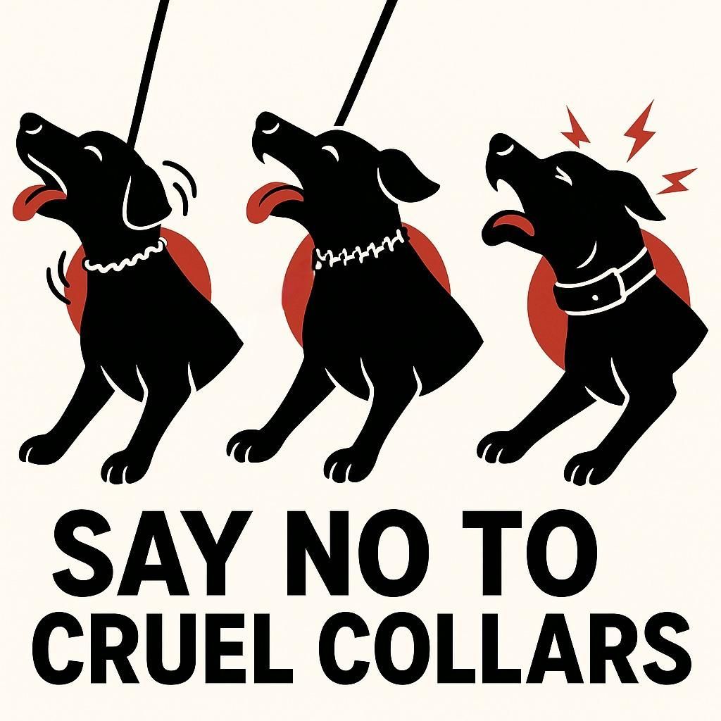 Say no to cruel dog collars picture