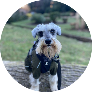 One to One Training example