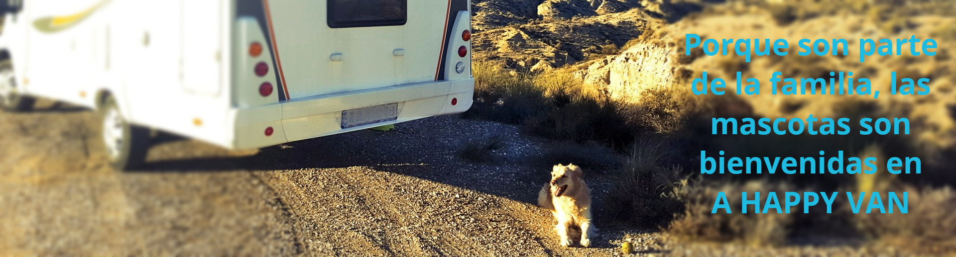 autocaravana y mascotas a happy van