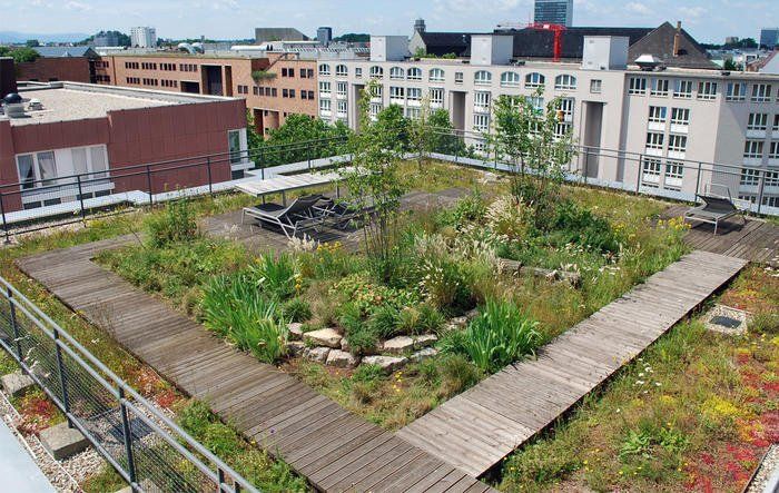 Dachbegrünung Bielefeld