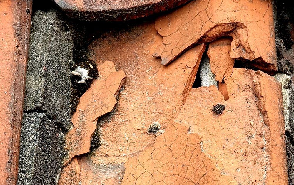 Dachreparatur Herford