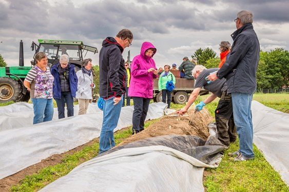 Schlemmertour - Spargel und Erbeeren aus Nettetal