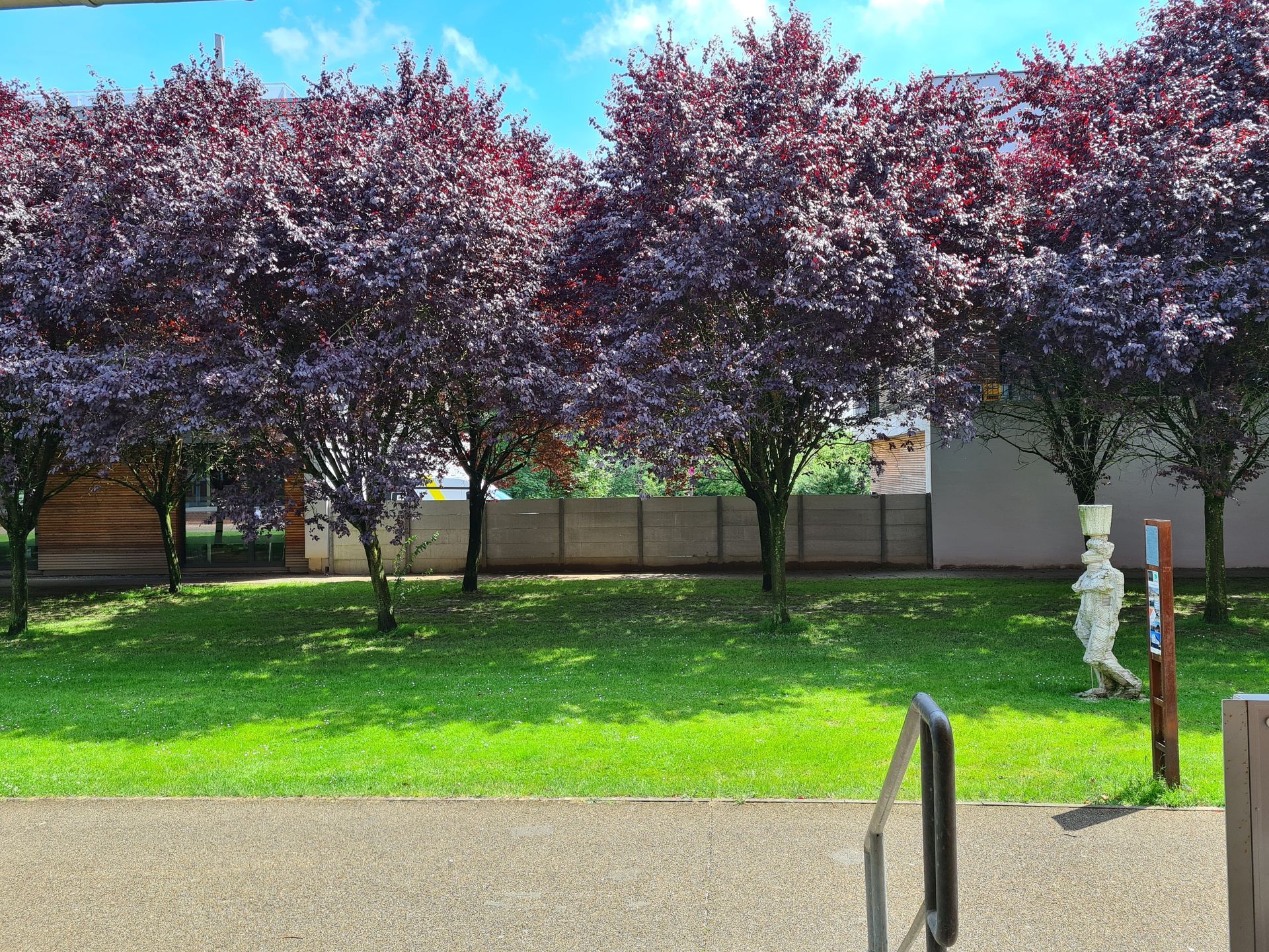 Südpark Solingen. Blick aus dem Atelier Silke Widenka