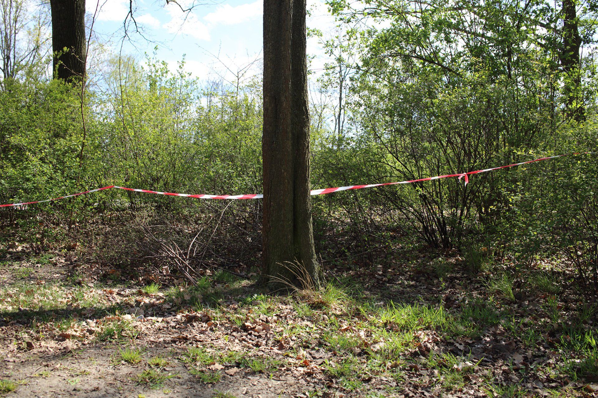 Title: “Coronakunst No. 8”, Berlin, 14.04.2020 (documentary photography), during the lockdown caused by the corona pandemic, by Sebastian Bieniek (B1EN1EK). Title: “Coronakunst No. 8”, Berlin, 14.04.2020 (documentary photography), during the lockdown caused by the corona pandemic, by Sebastian Bieniek (B1EN1EK).