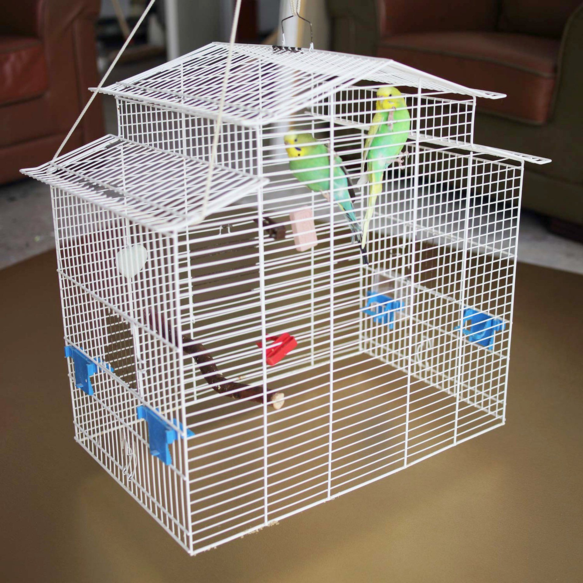 Birds shitting on canvas for Sebastian Bieniek's Birds shitting on canvas for Sebastian Bieniek's