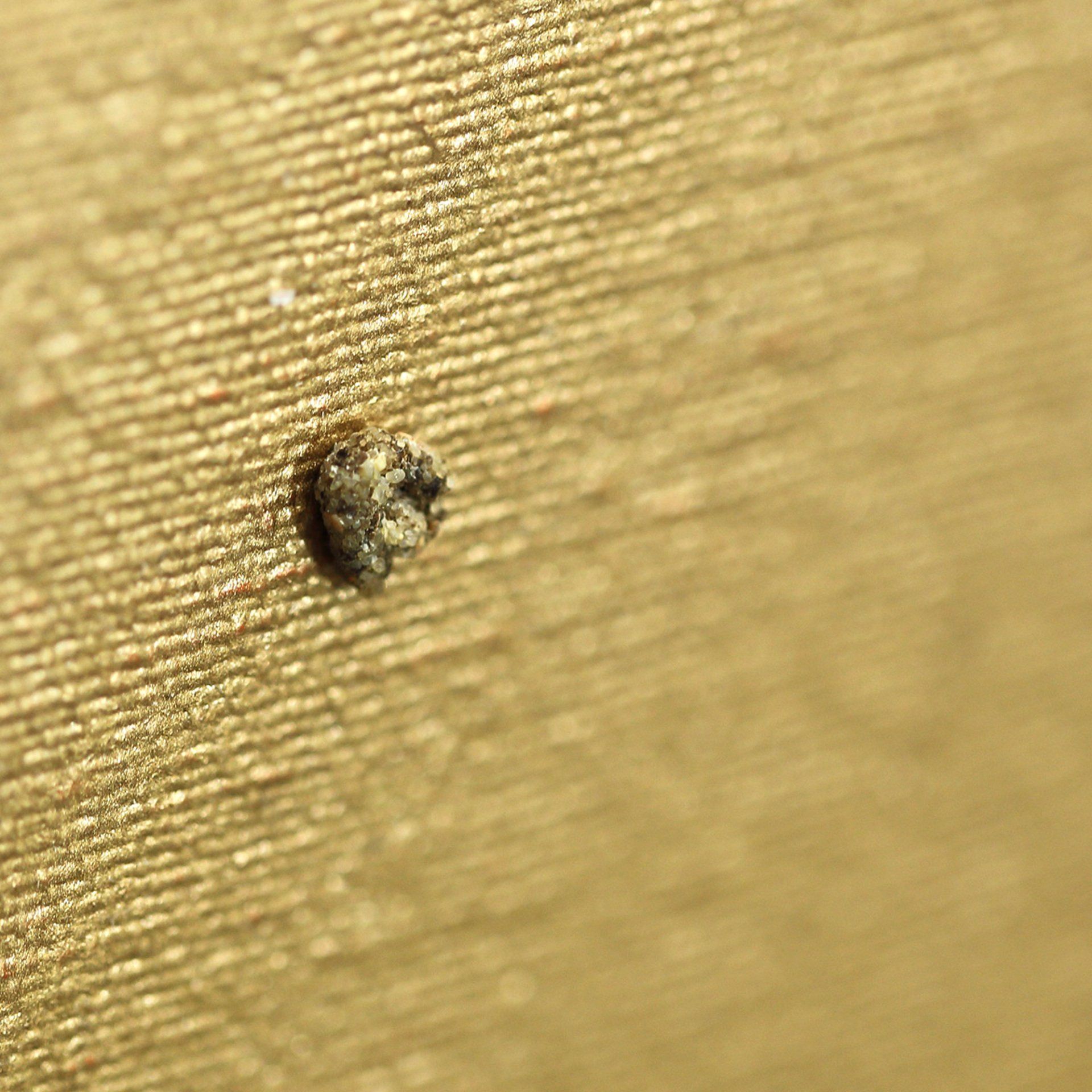 No fake, no jocke, they are really shitting on Gold to create No fake, no jocke, they are really shitting on Gold to create