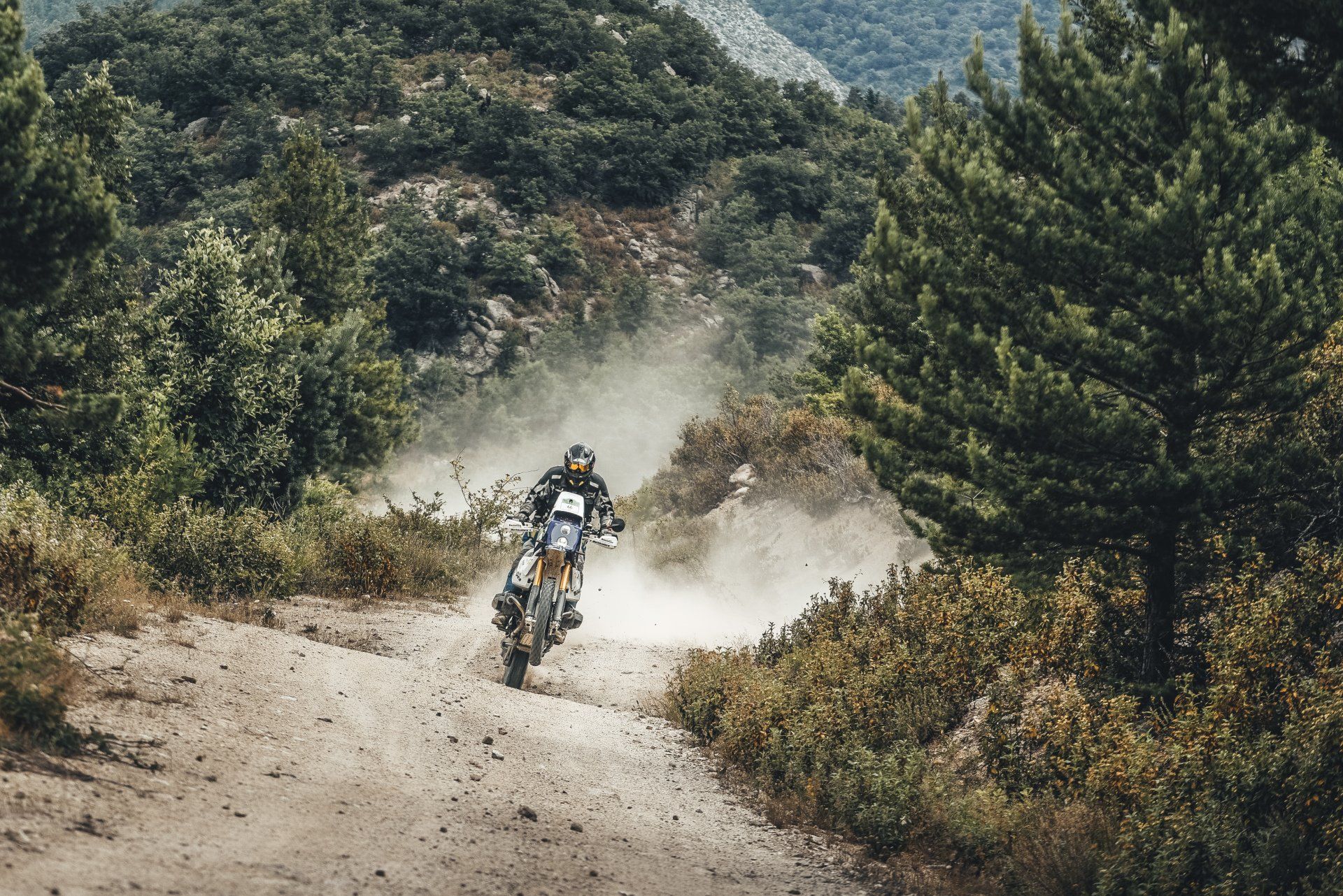 Gibraltar Race 2019