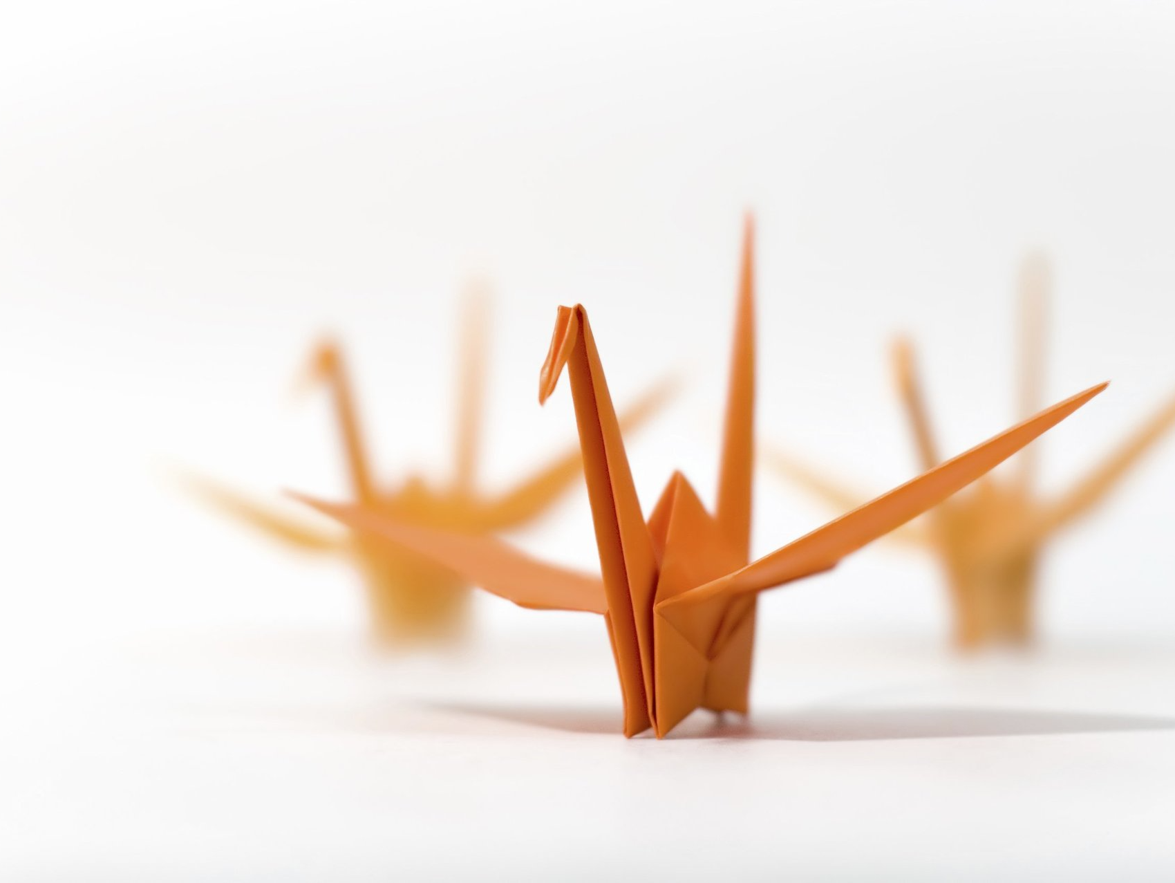 Imagen de una grulla hecha con papel kraft