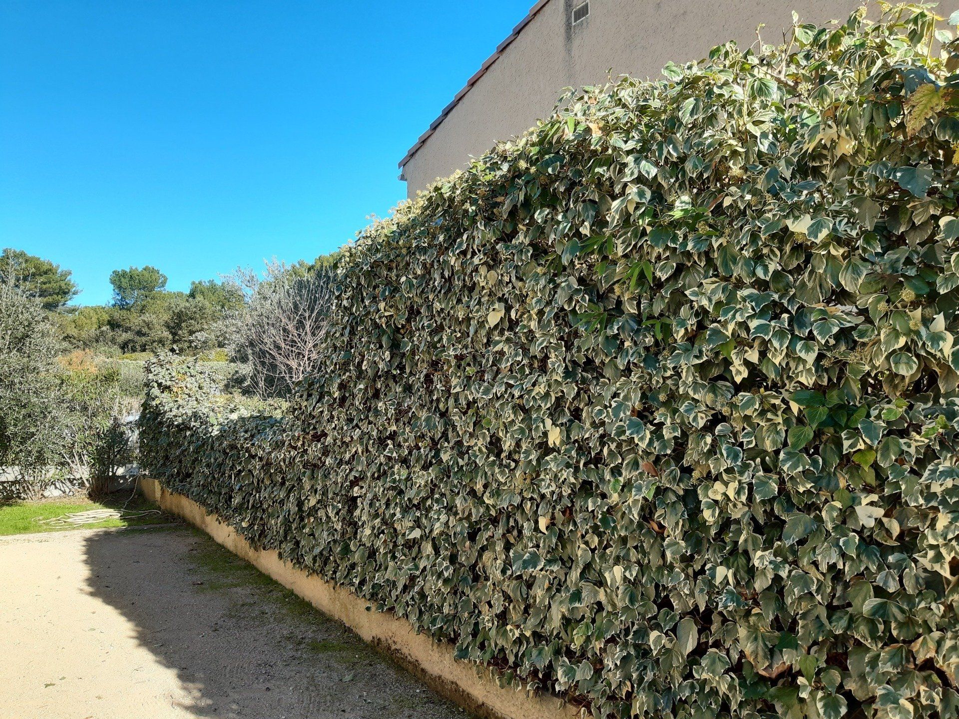 Entretien de jardin à LAMBESC près de SAINT-CANNAT