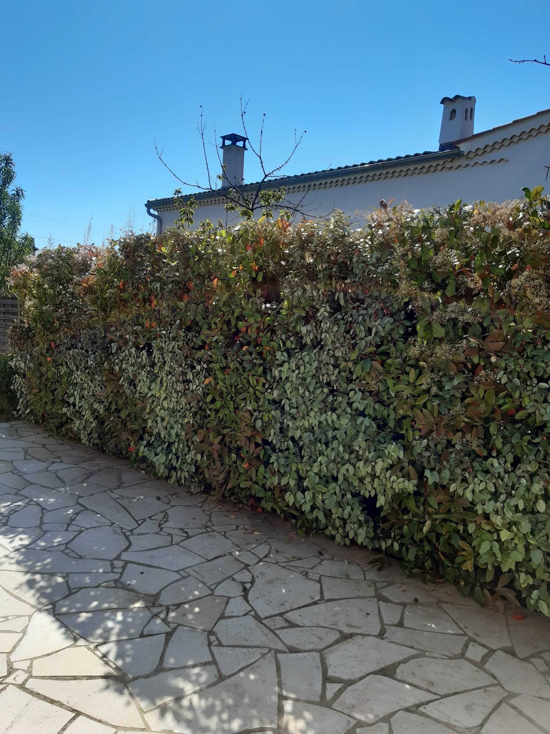 Entretien de jardin à LAMBESC près de PELISSANNE