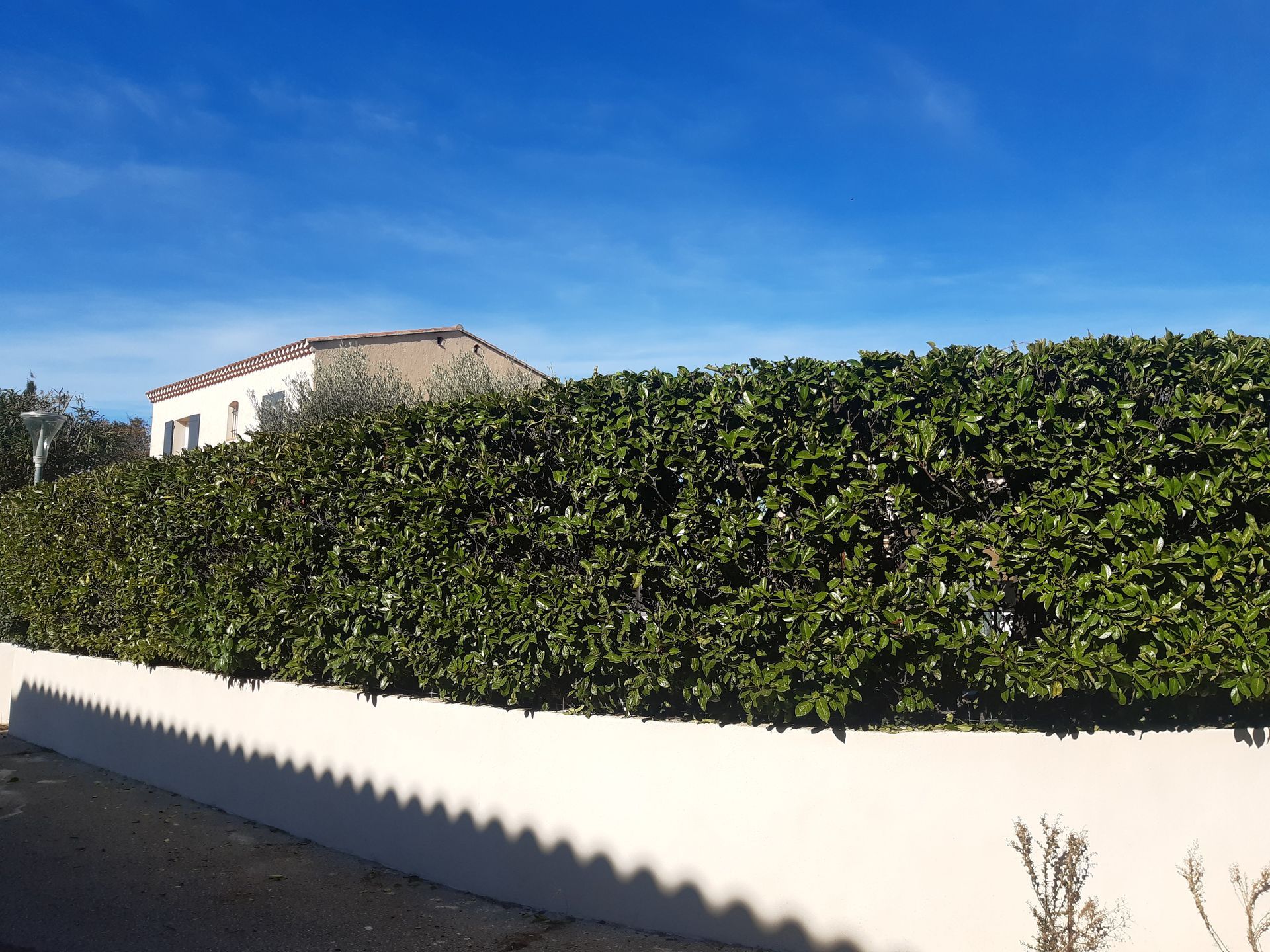 Entretien de jardin à SAINT-CANNAT près de LAMBESC