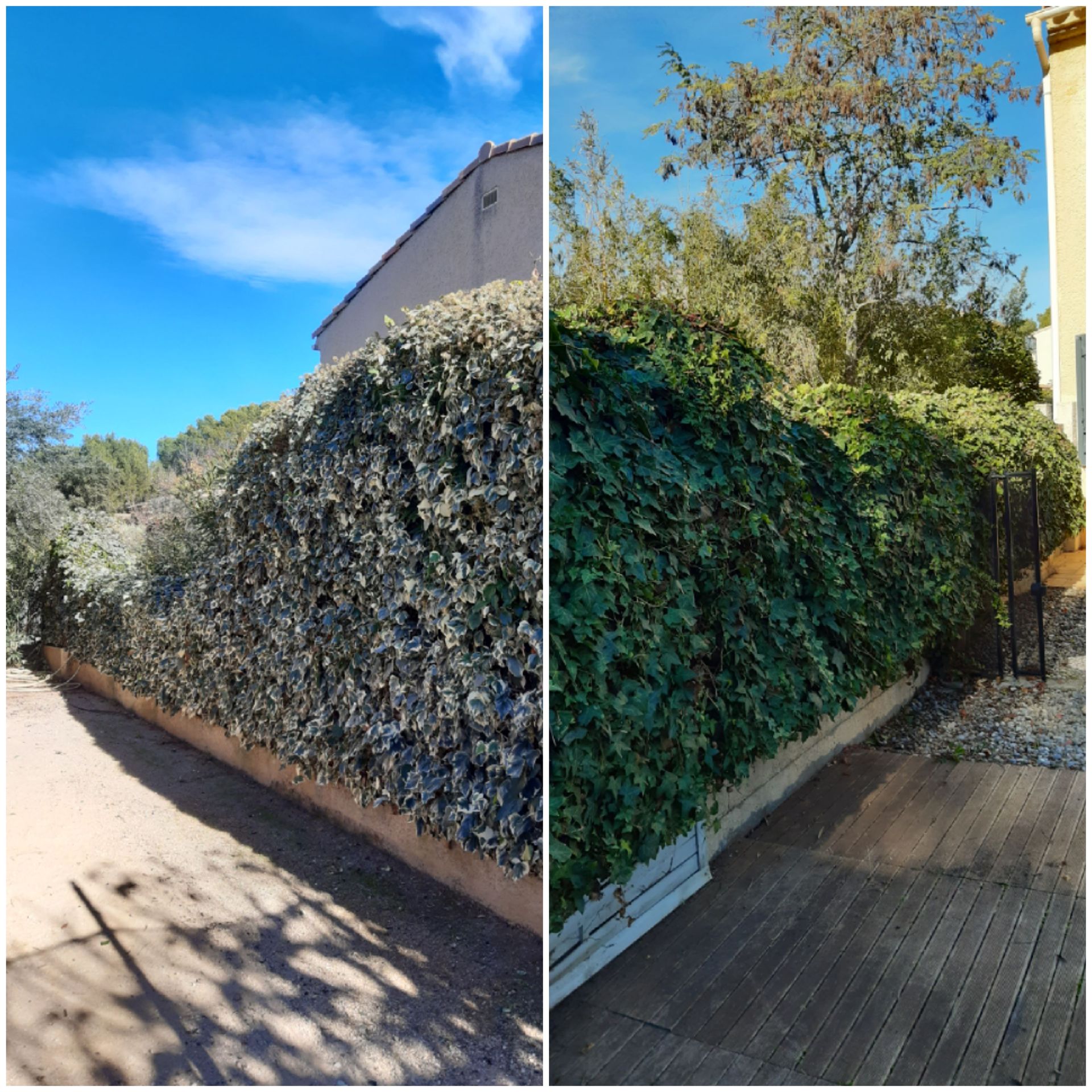 Taille de haies à ROGNES-Entretien de jardin à ROGNES près de LAMBESC