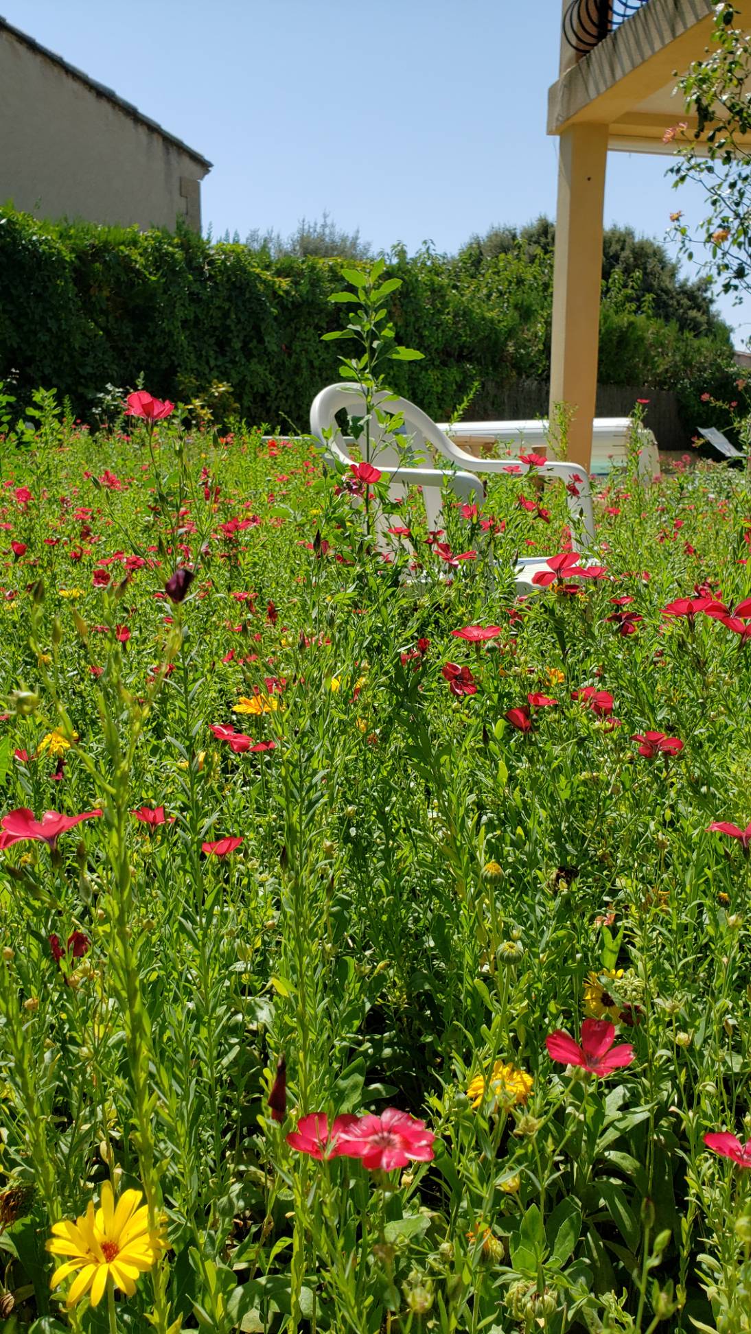 Entretien de jardin et aménagement paysager à ROGNES près de SAINT-CANNAT