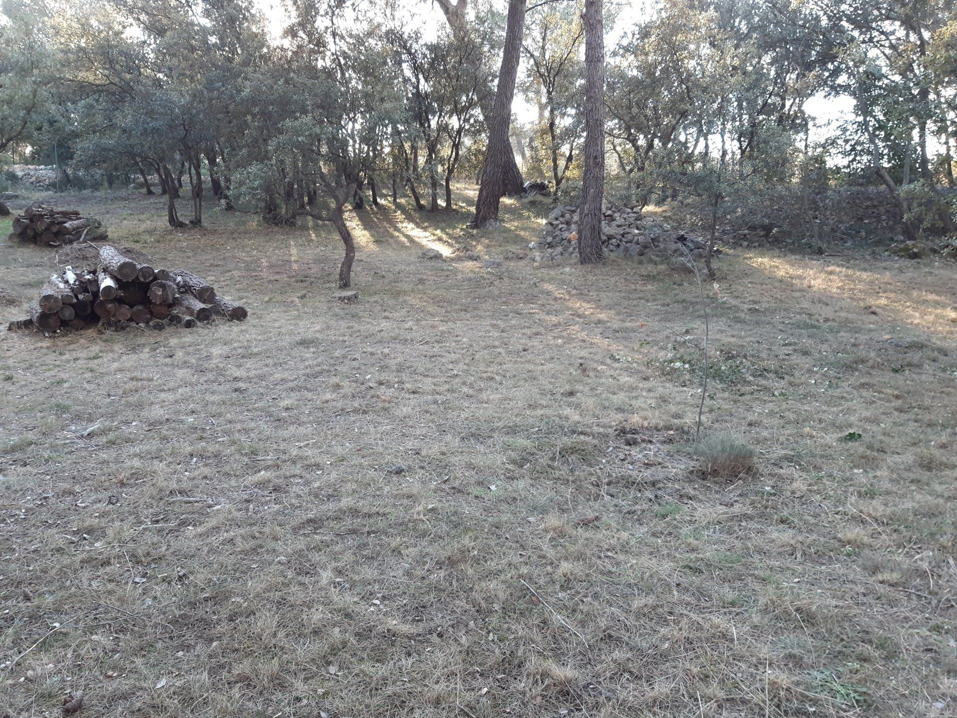 Entretien de jardin LAMBESC près de SAINT-CANAT