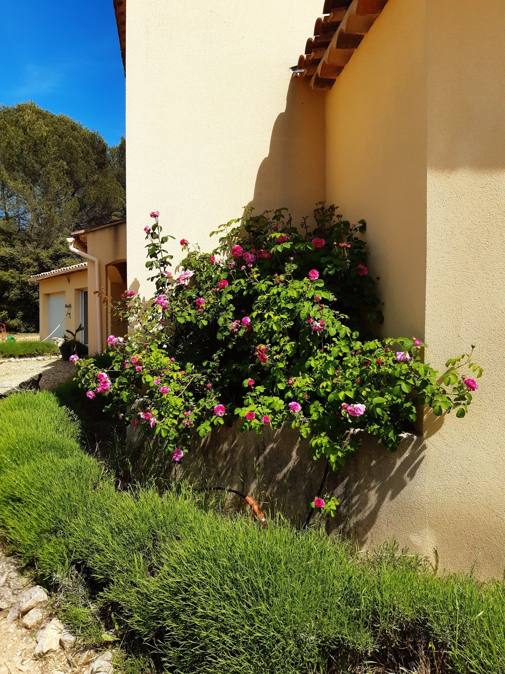 Entretien de jardin à LAMBESC près de ROGNES