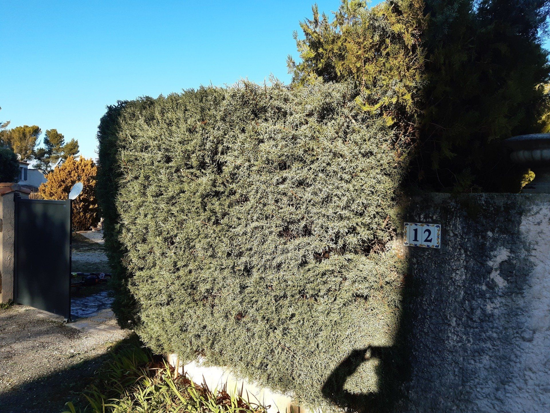 Entretien de jardin à PELISSANNE près de VERNEGUES.