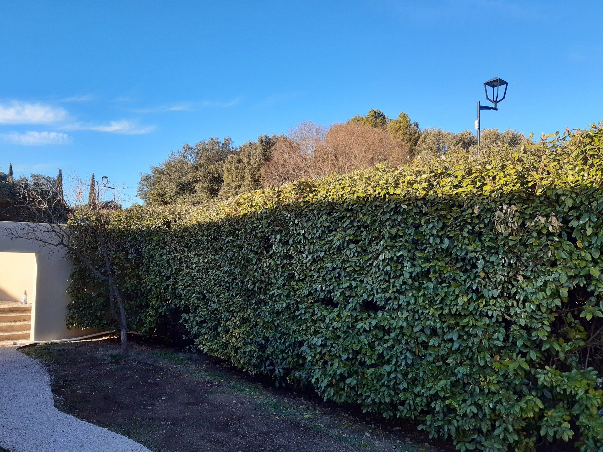 Entretien de jardin à LAMBESC près de SAINT-CANNAT