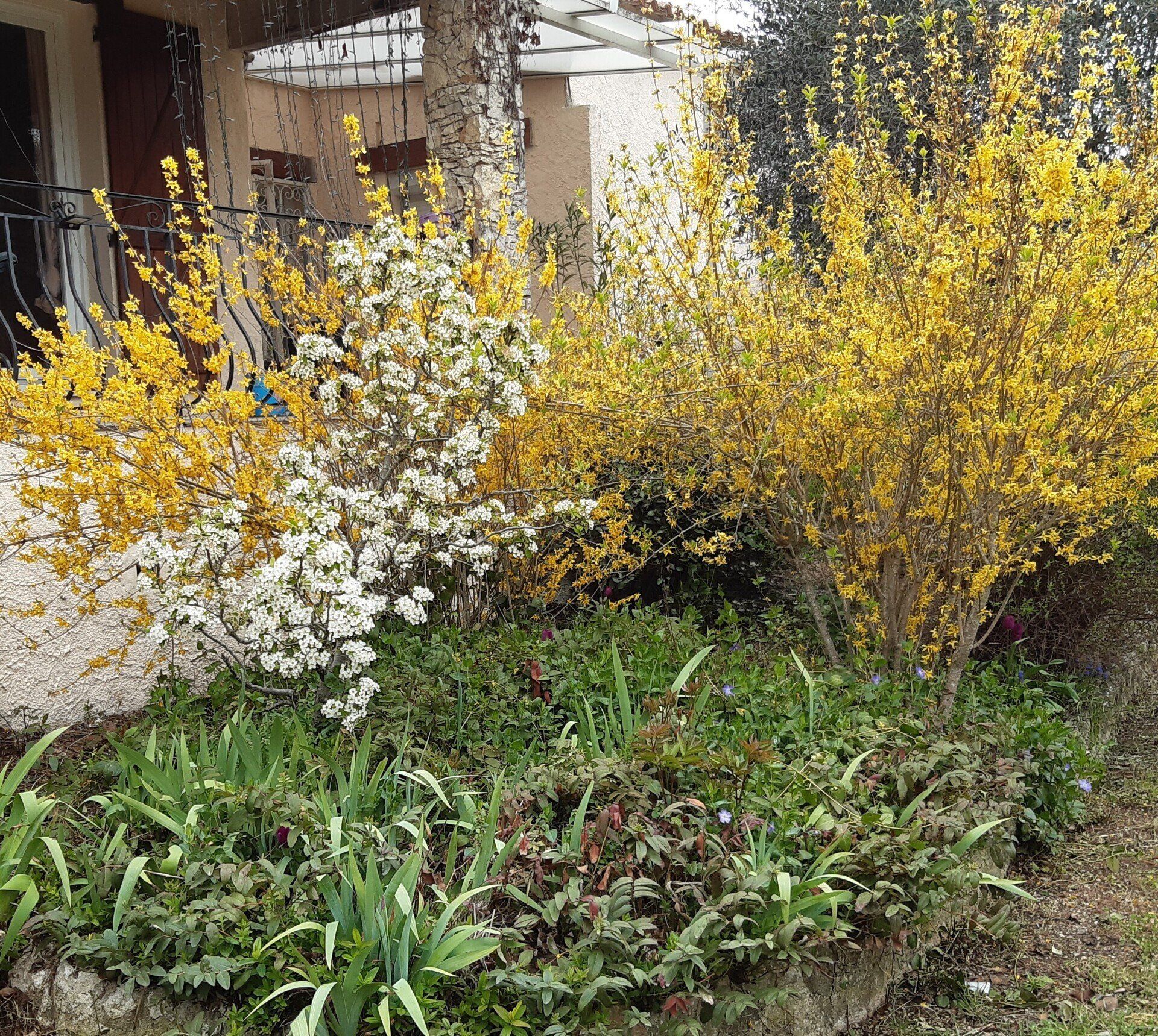 Entretien de jardin à SAINT-CANNAT près de ROGNES