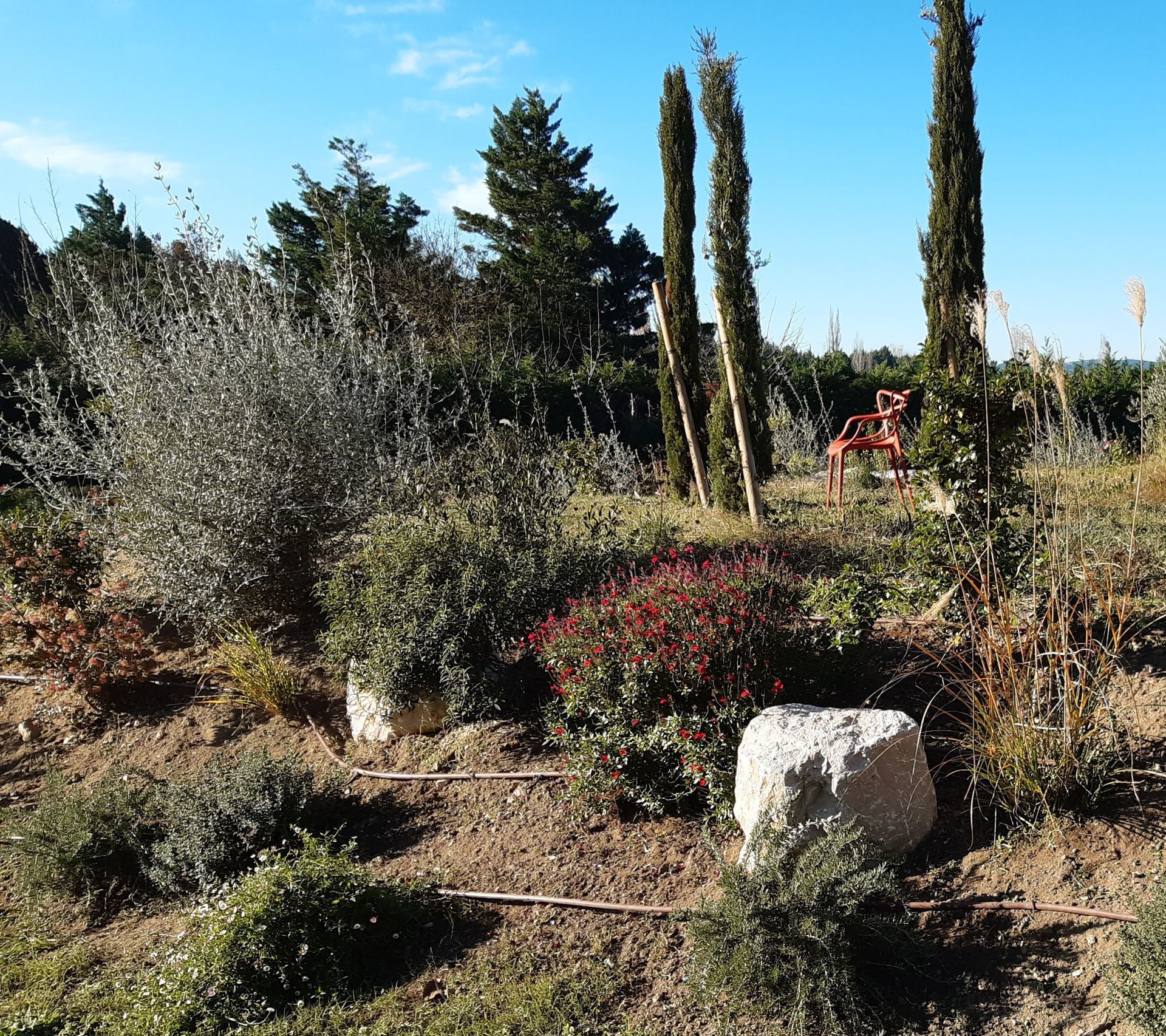 Entretien de jardin LAMBESC-Taille végétaux LAMBESC près de ROGNES