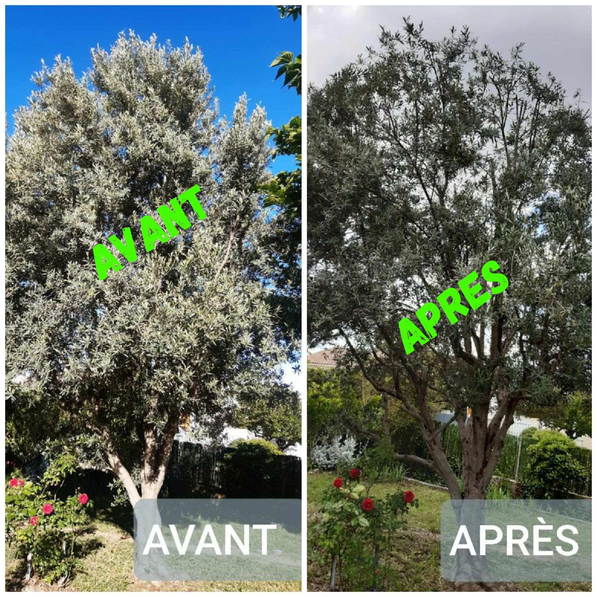 Entretien de jardin à PELISSANNE près de SAINT CANNAT