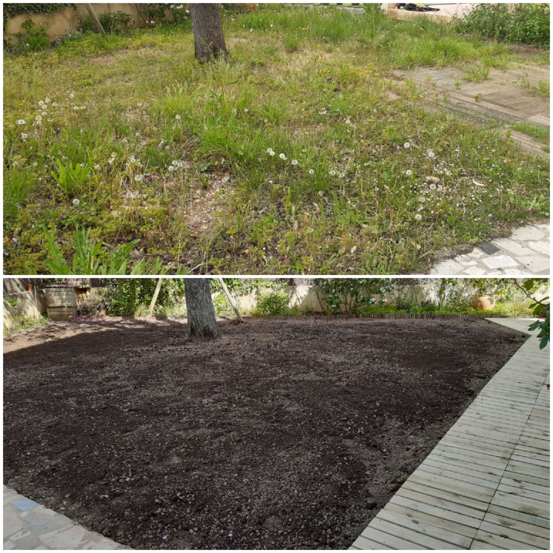 Entretien de jardin à Lambesc près de Saint-Cannat