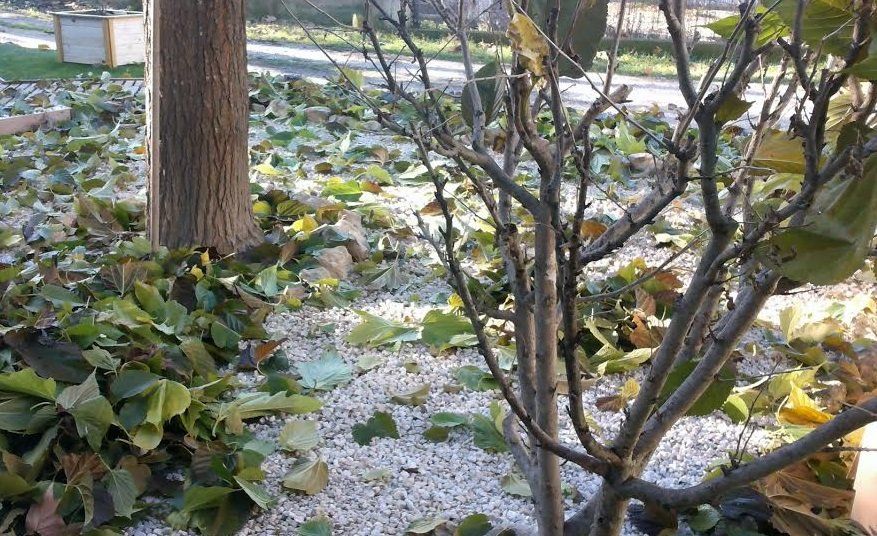 Entretien de jardin et ramassage de feuilles à PELISSANNE