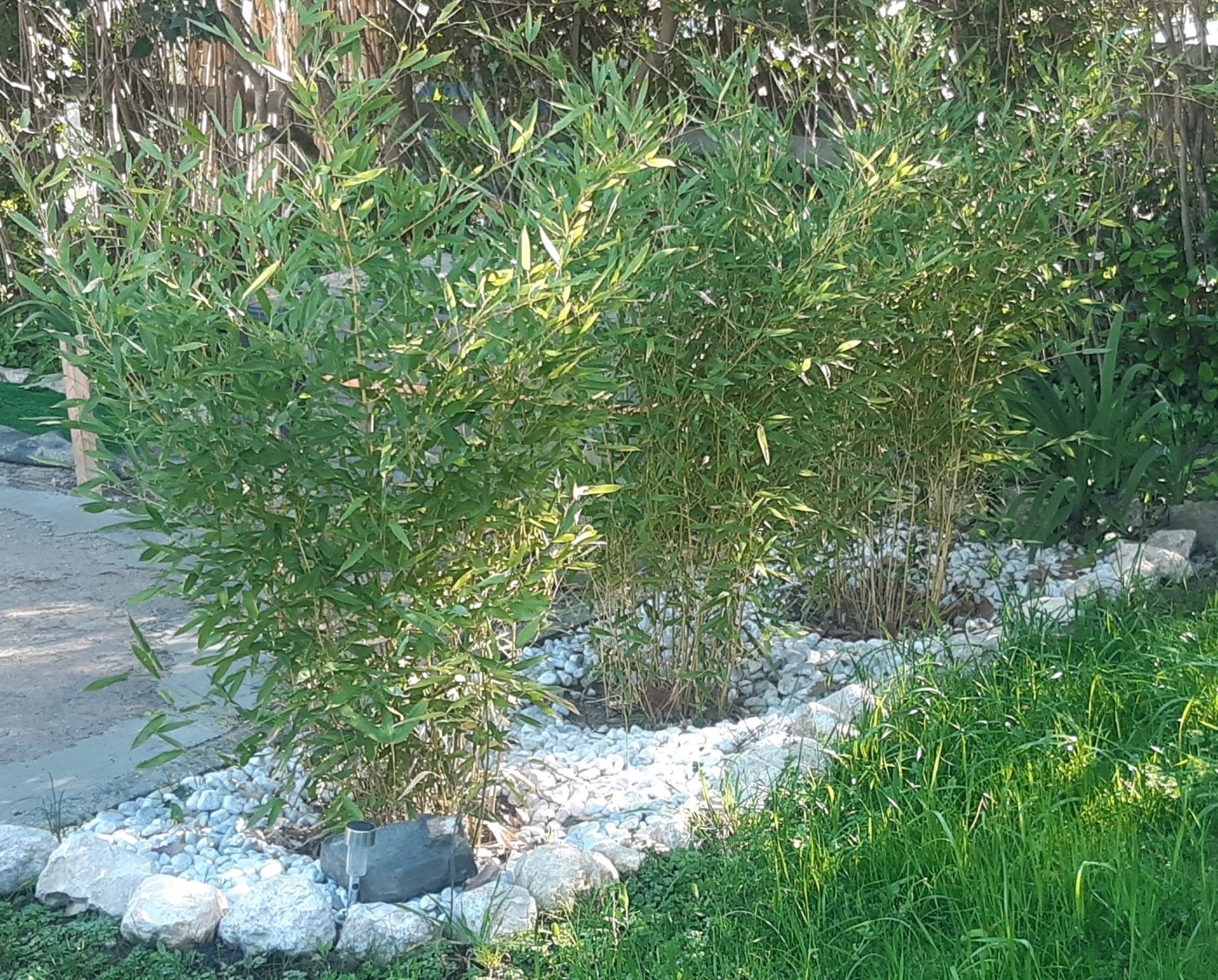 Aménagement paysager ROGNES près de SAINT CANNAT